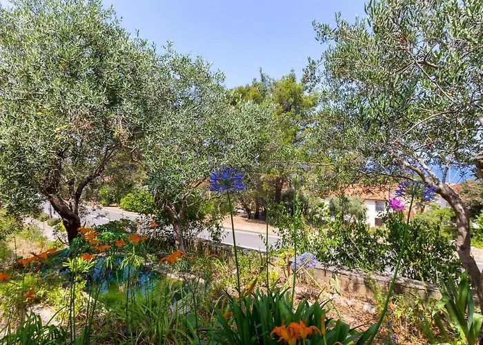 Maison d'hôtes Matea, 3*