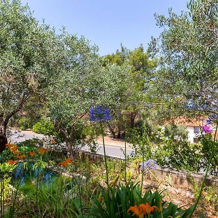 Penzion Matea, 3*