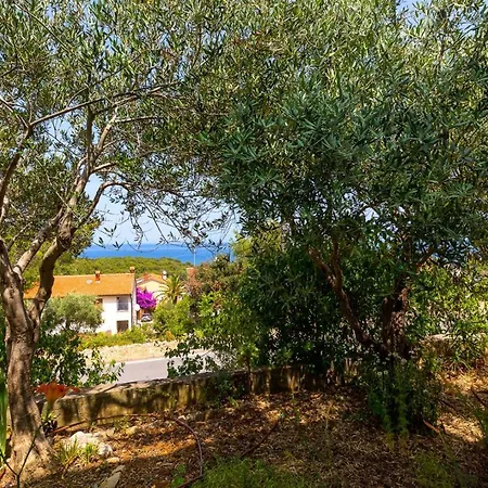 Matea, Guest house 3*