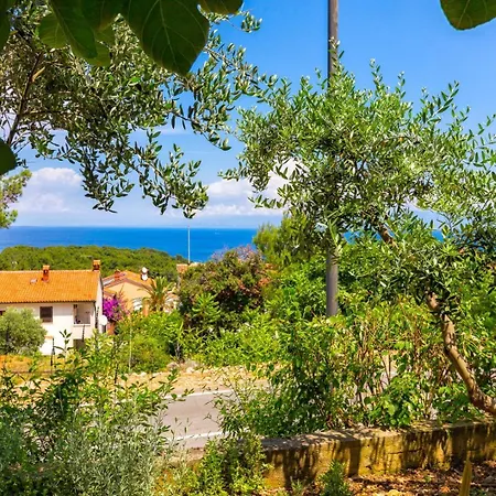 Matea, Guest house 3*
