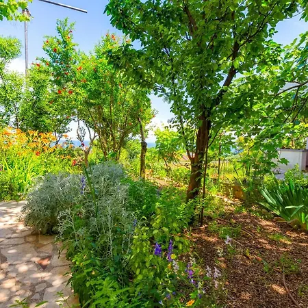 Guest house Matea, Mali Losinj